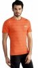 T-SHIRT SEAMLESS MEN ZIGGY 004.2045S